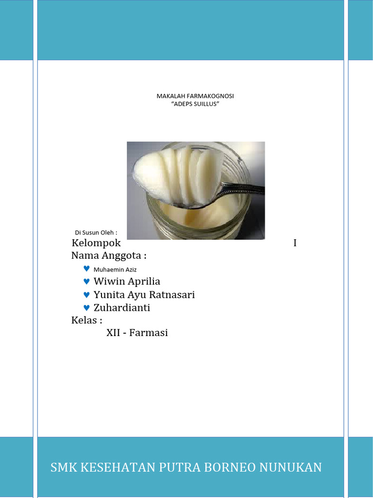 Sejarah dan Proses Produksi Adeps Suillus | PDF