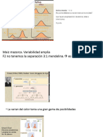 Teoria Genetica y Evolucion Seleccion Natural