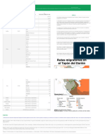 Matriz Tapón Del Darién