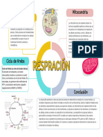 Grafico Matriz Foda Sencillo Beige