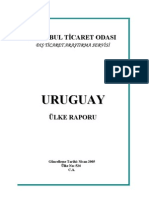 Uruguay Ulke Raporu