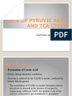 Lecture 8 - Biochemistry