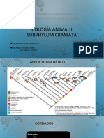 Mixines Petromyzontiformes y Chondrichtyes 2019