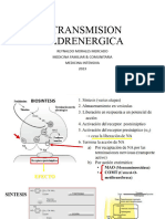 Neurofarmacologia Simpatica I 2024