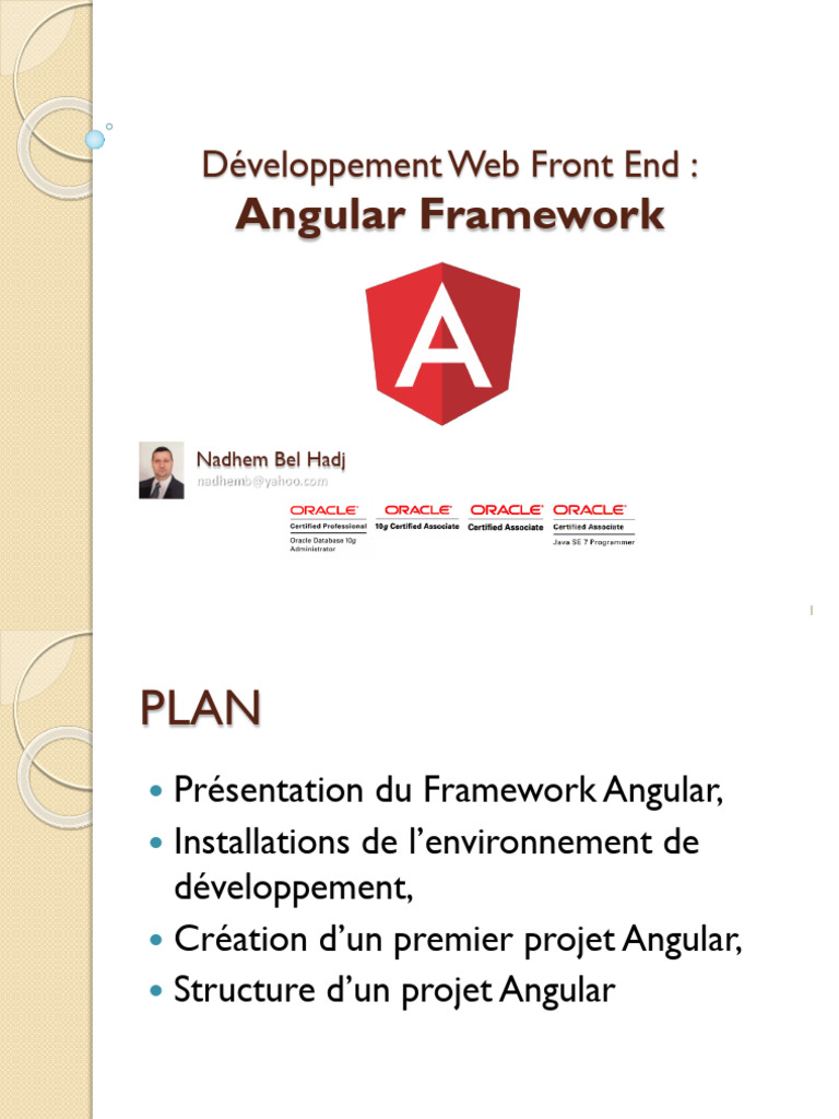 Angular Framework 2020 | PDF | Internet | Internet et Web