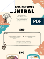 Sistema Nervioso: Central