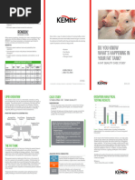 Fat Tank Case Study - Swine