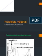 Fisiologia Vegetal