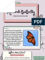 Monarch Butterfly - AAB
