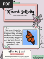 Monarch Butterfly - AAB