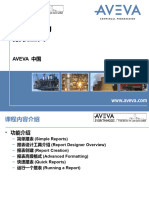 TM-1803 AVEVA Everything3D - (2.1) Reporting (CN)