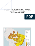 Povos Indígenas No Brasil e No Maranhão