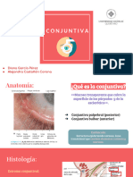 CONJUNTIVA