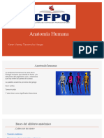 Anatomía Humana I Unidad 1