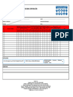 DSO-001 - Formato Inspeccion de EPP 2022