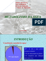 Aula 1 - Metabolismo Da Água