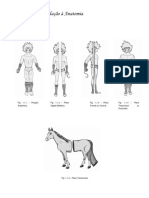 Apoio 2 Anatomia Geral e Humana