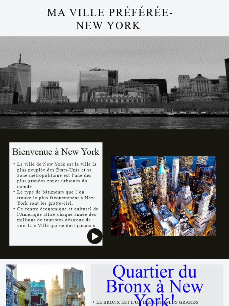 d-couverte-du-bronx-new-york-pdf-sciences-sociales-voyages