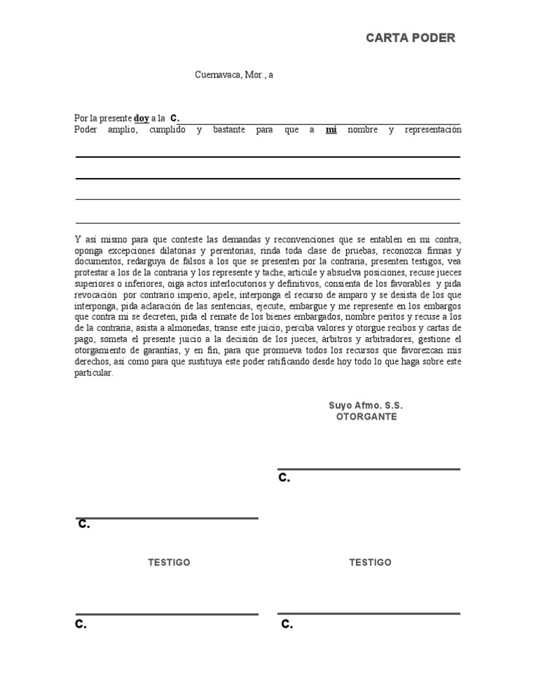 CARTA PODER Información del gobierno Justicia Prueba