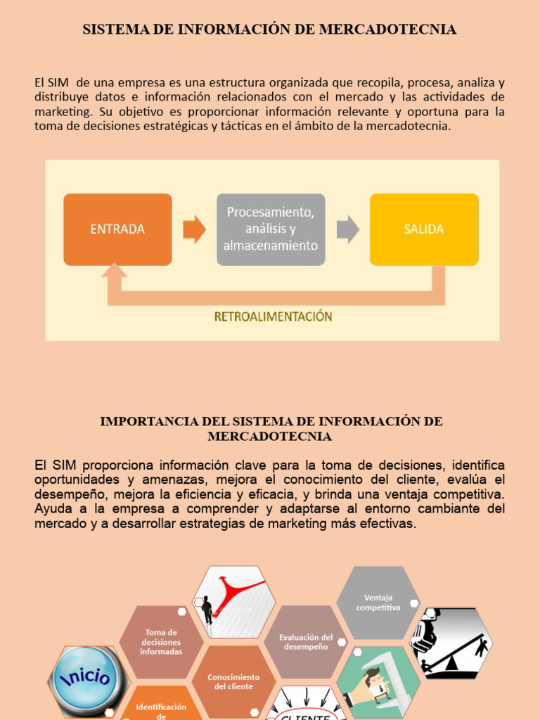 2 Sistema de Información de Mercadotecnia | PDF | Marketing