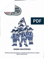 Ramo Escoteiro - Indaba