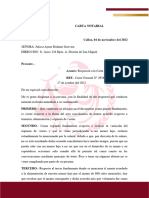 Carta Notarial Regimen