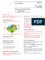 Modelo Relatório Célula - Cópia