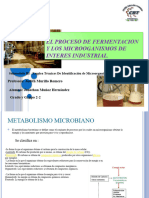 El Proceso de Fermentacion y Los Microoganismos...