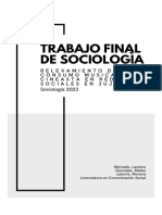 Trabajo Final Sociologia