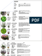 Ejemplo Paleta Vegetal