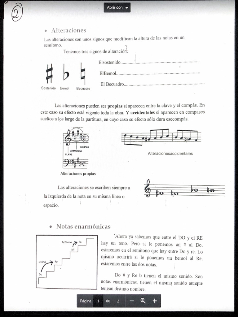 Musical Notes | PDF