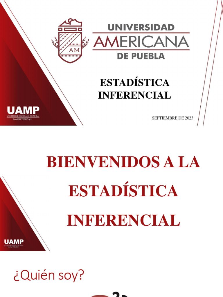 Estimación Estadística PDF Estadísticas Investigación cuantitativa