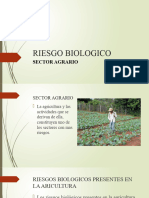 Riesgo Biologico Agricola y Avicola