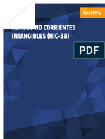 Activos No Corrientes Intangibles) Nic 38)