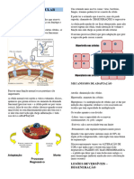 Degeneração Celular