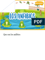 Presentacion de Los Anfibios