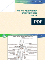 נקודות היאנג של הרגל והיד