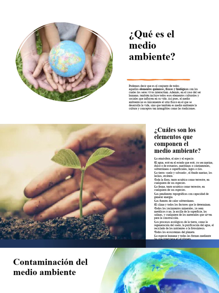 Qué Es El Medio Ambiente | PDF | Entorno natural | Suelo