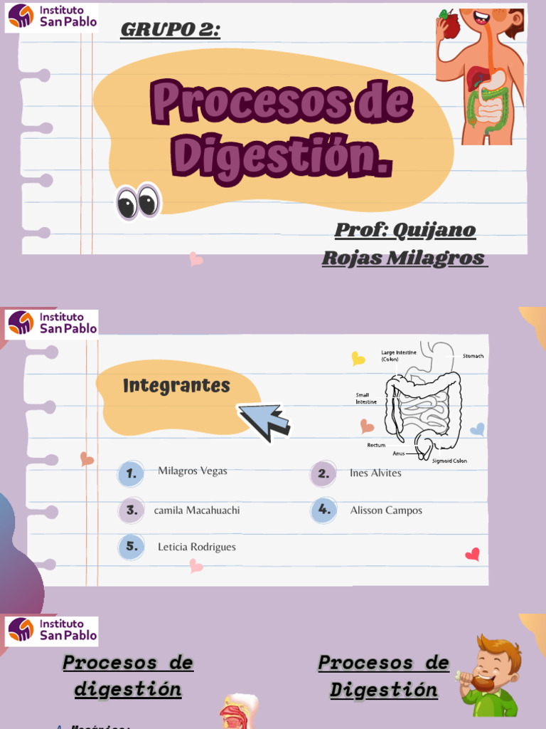 Proceso De Digestion Pdf Digestión Sistema Digestivo Humano