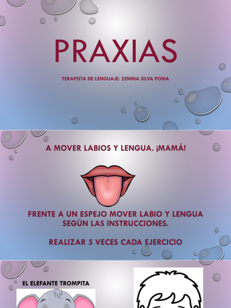 Praxias: Terapista de Lenguaje: Zenina Silva Poma | PDF