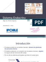 (Clase 10) Sistema Endocrino