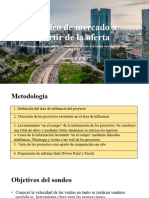 Investigacion de Mercado San Isidro 2023-06 1