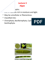 Soil Microbiology 3