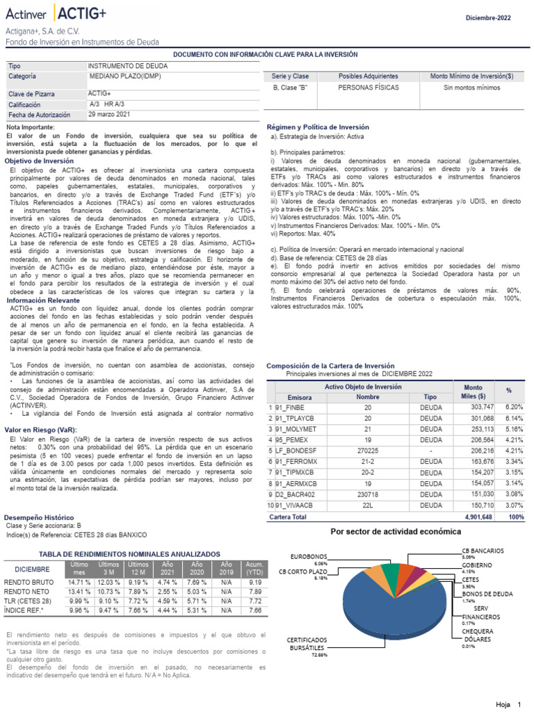Informe ACTIG+ Diciembre 2022 | PDF | Portafolio (Finanzas) | Fondo de ...