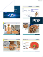 Roteiro Sistema Nervoso Pratica