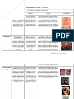 Enfermedades Vulvares y Vaginales