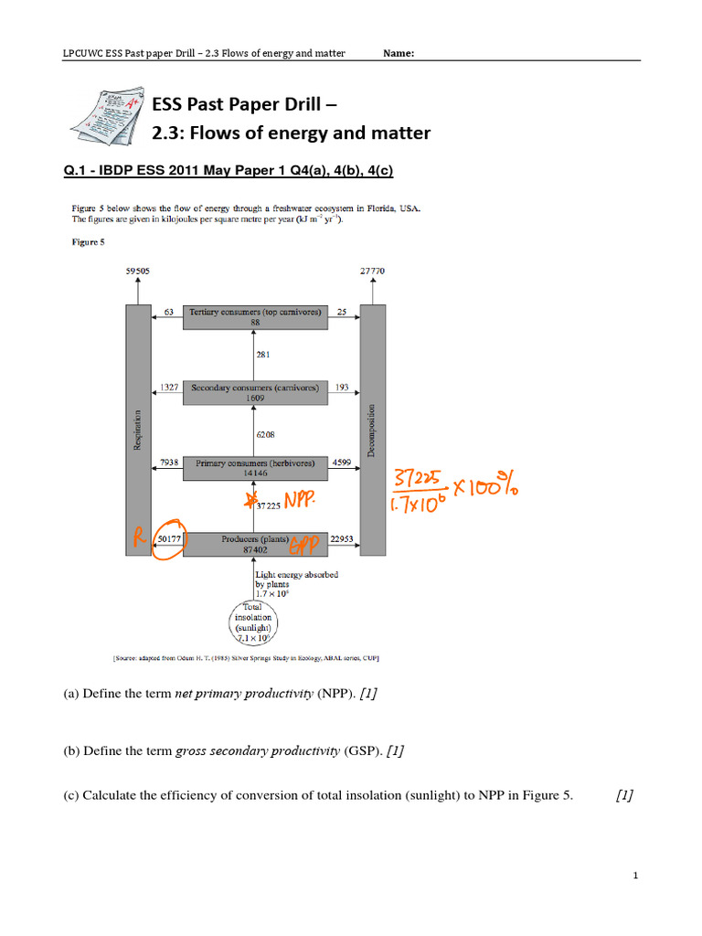 Ess ppd 2 3 flows of energy and matter 2023 pdf food web ecosystem