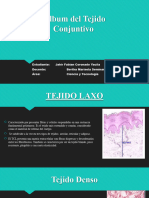 Álbum Del Tejido Conjuntivo