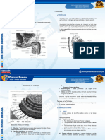 73 A 2 Ef 1699270222 DOSIER4 To SECUNDARIAsistema REPRODUCTOR4 TObimestre