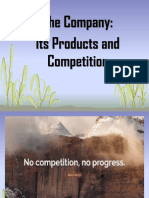 The Company Its Products and Competition